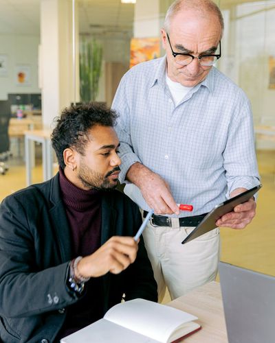 Stylized representation of a professional mentor
